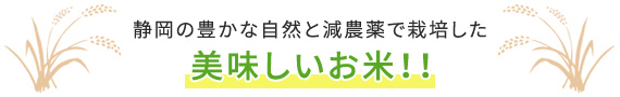 静岡の豊かな自然と減農薬で栽培した美味しいお米！！