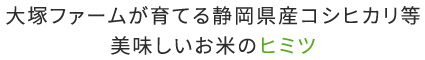 大塚ファームが育てる静岡県産コシヒカリ等 美味しいお米のヒミツ