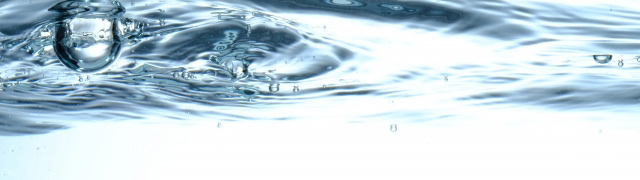 大事なのは水管理！
